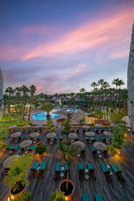 Bull-eugenia-vitoria