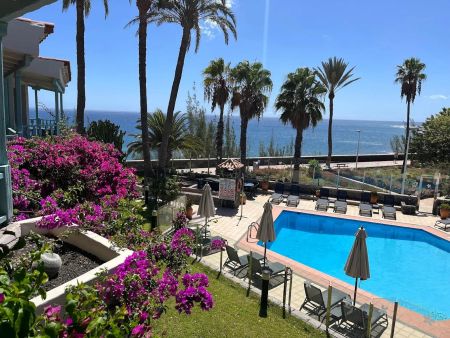 Bull Boutique Casas Carmen