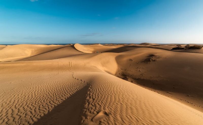 Reserva Natural de Las Dunas de Maspalomas