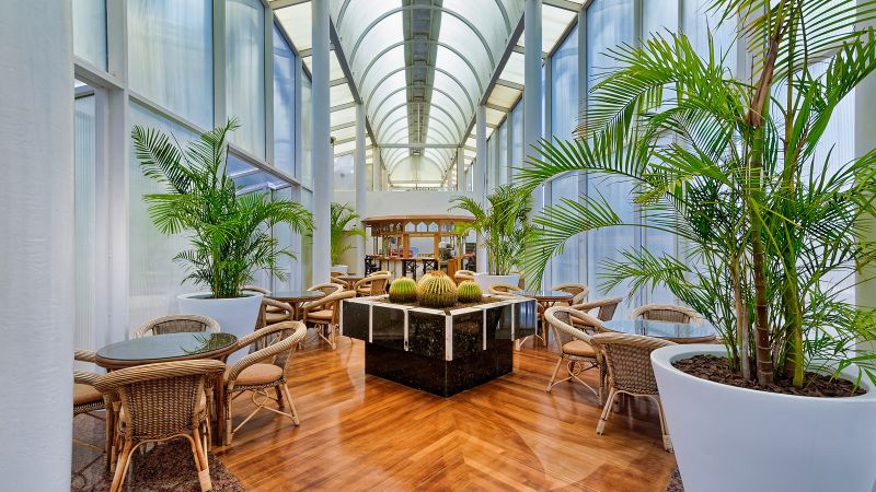 patio interno bull astoria