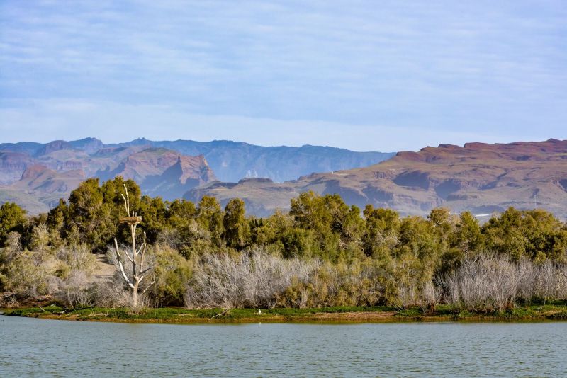 image of the charca de Maspalomas