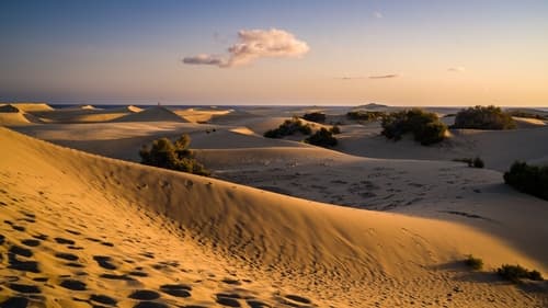 atardecer en las dunas de maspalomas 