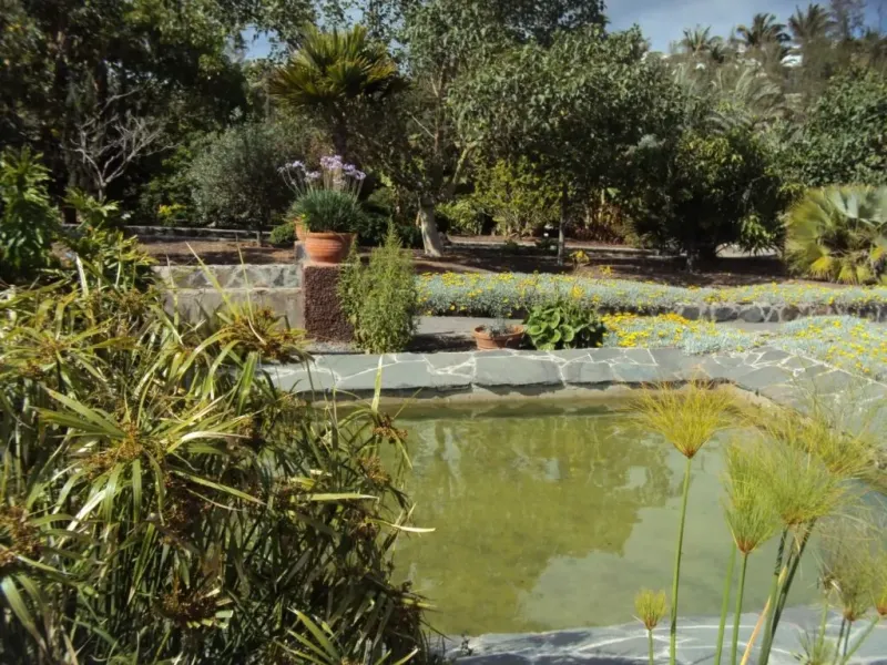 Bild eines Teiches im botanischen Park von Maspalomas